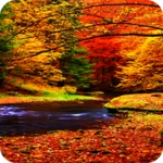 Logo of Autumn Wallpaper android Application 